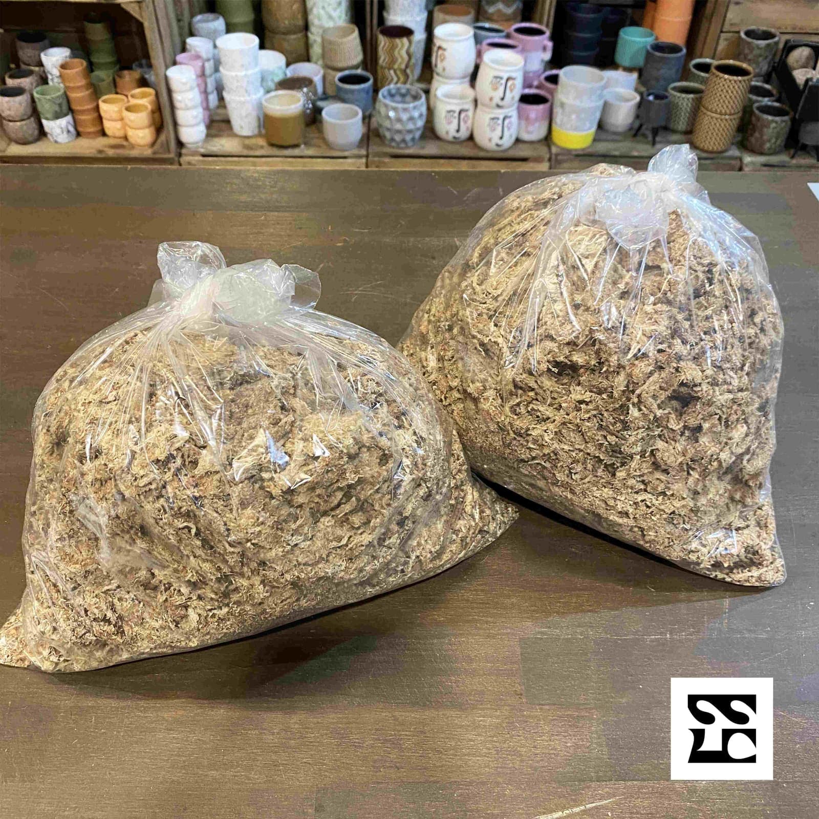 Sphaigne déshydratée 250gr