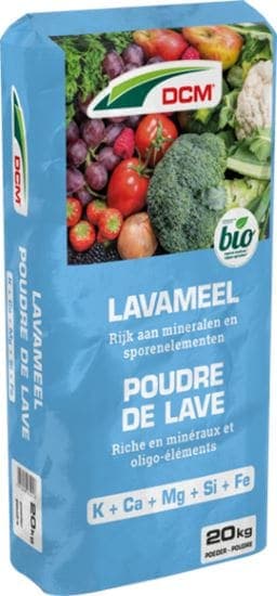 DCM POUDRE DE LAVE