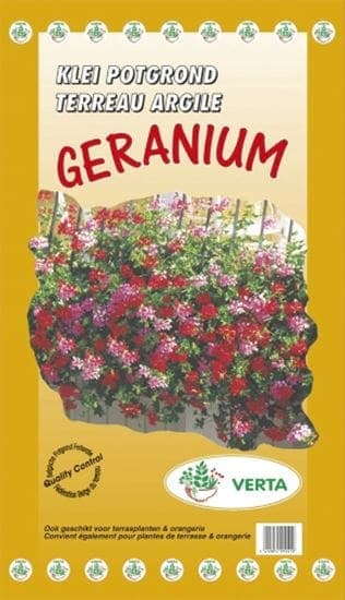 Geranium terreau argile
