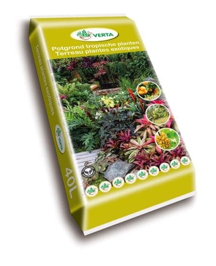 Terreau plantes exotiques